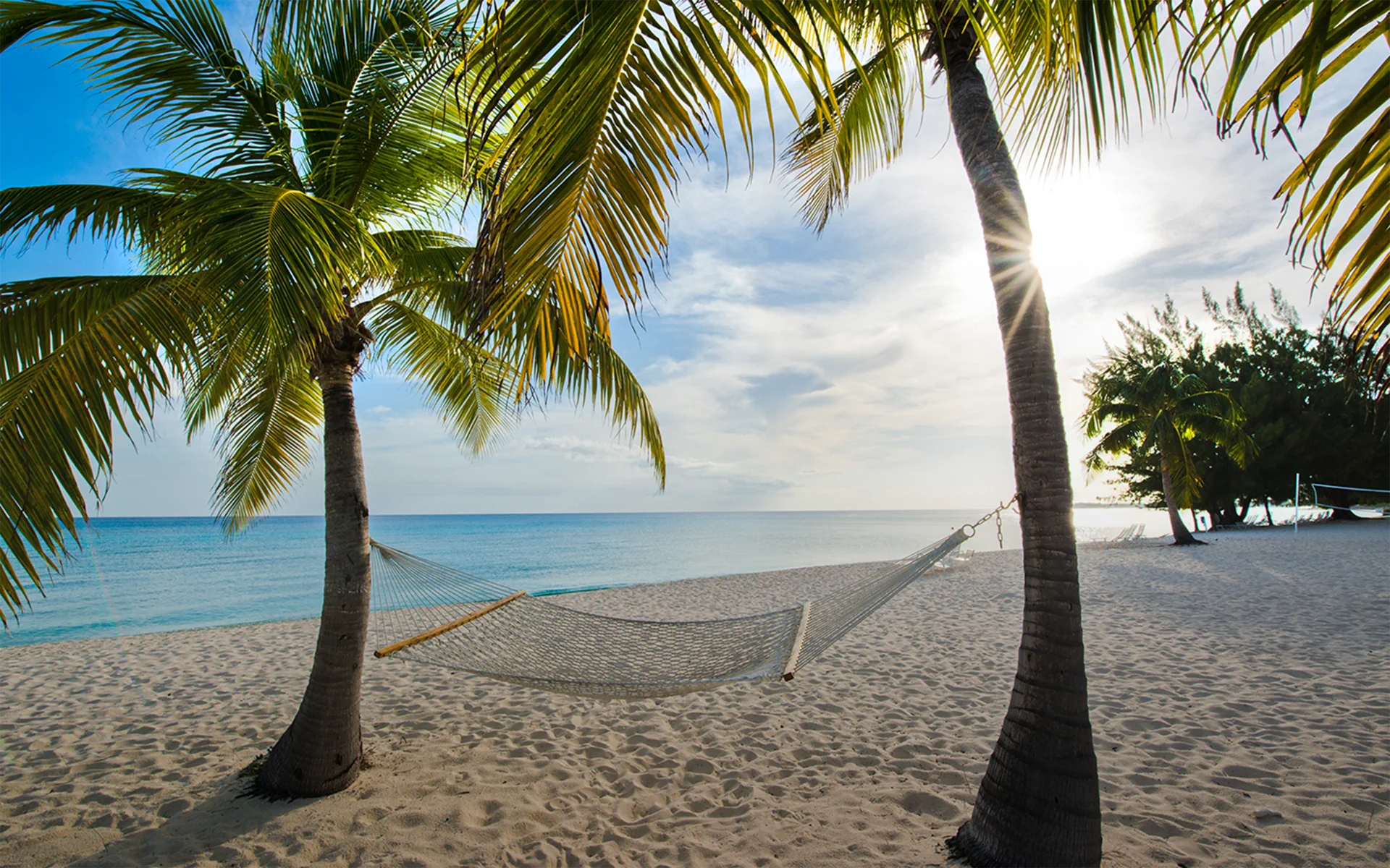 Palm-fringed beach on Grand Cayman