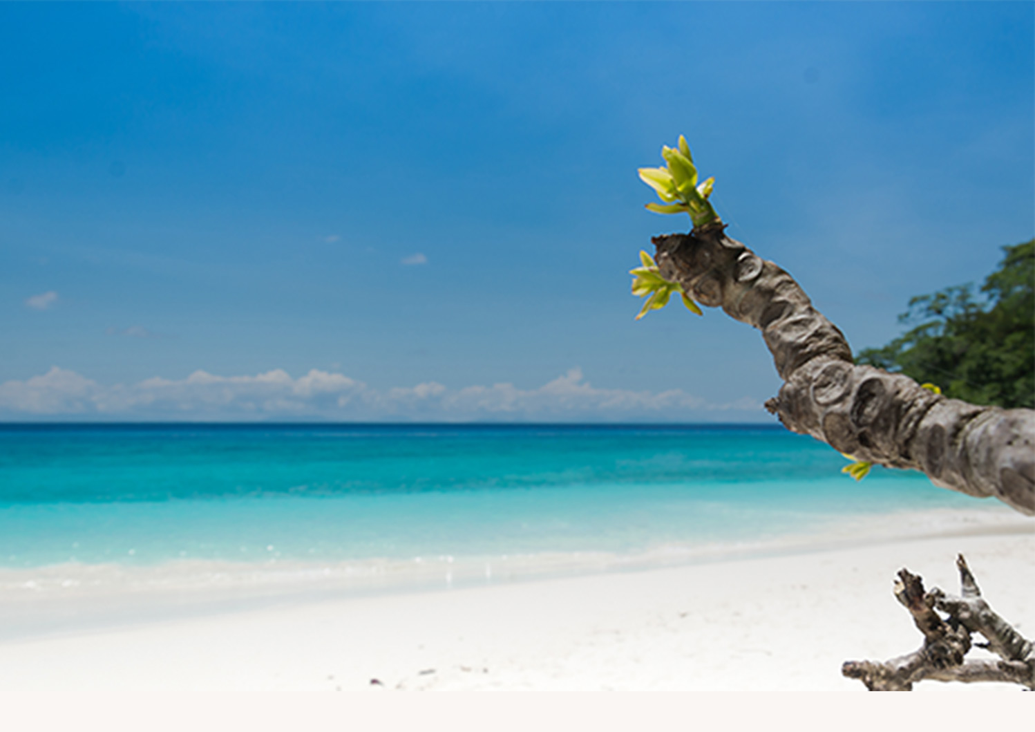 Island Paradise — Grand Cayman island life